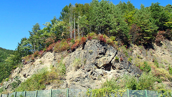 古生層チャートの大しゅう曲